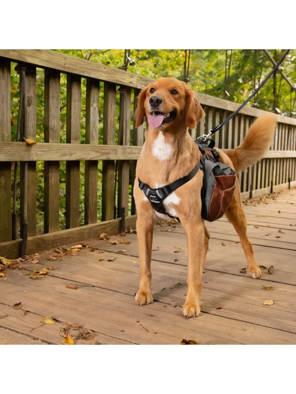 Heavy-Duty Dog Saddle Bag Harness - Reflective Safety, Removable Bags, Large